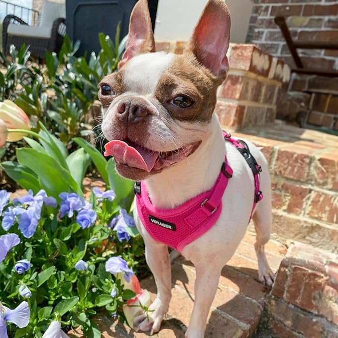 Voyager Step-in Pet Harness - Image 8