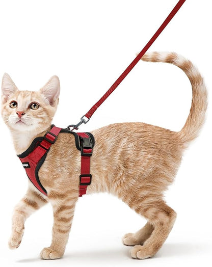 rabbitgoo Cat Harness and Leash by rabbitgoo