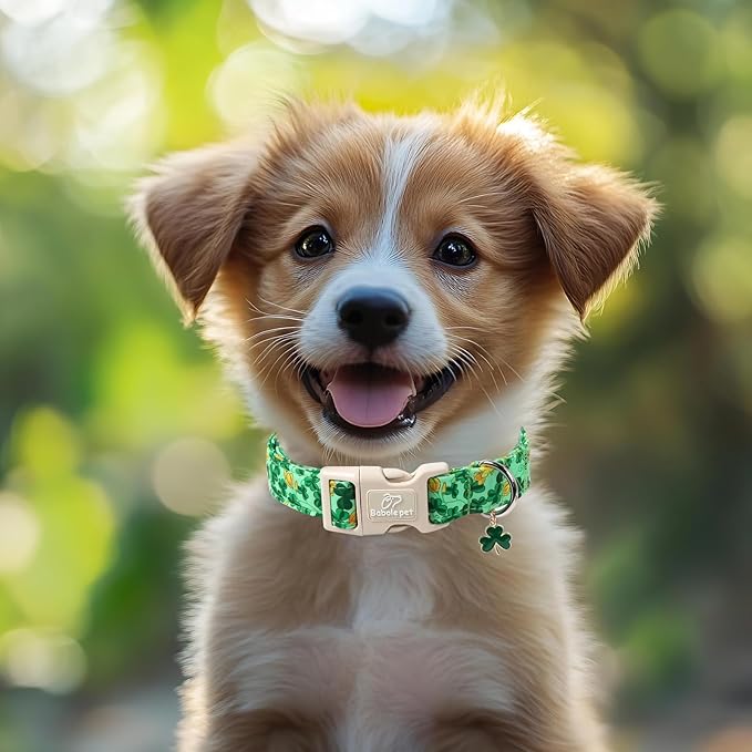 St. Patrick's Day Dog Collar for Small Dogs - Image 6