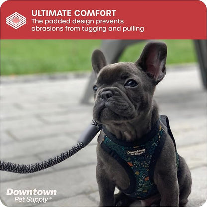 Downtown Pet Supply Step-in Dog Harness – No Pull, Adjustable Padded Mesh - Image 6