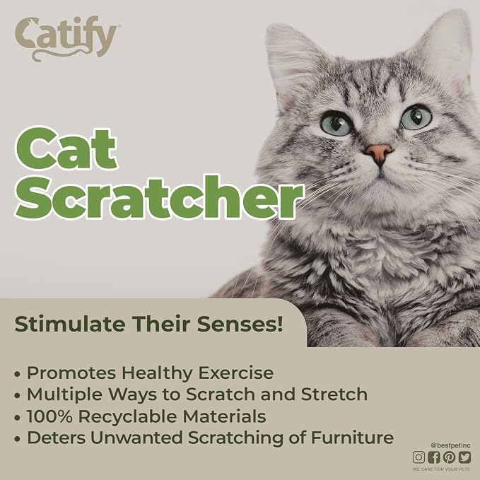 Best Pet Supplies Catify Cat Scratcher, Fun Interactive Scratchers, Claw Safe - Image 3