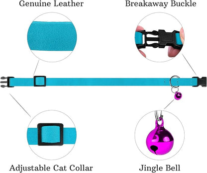 Breakaway Cat Collar Leather - Image 4