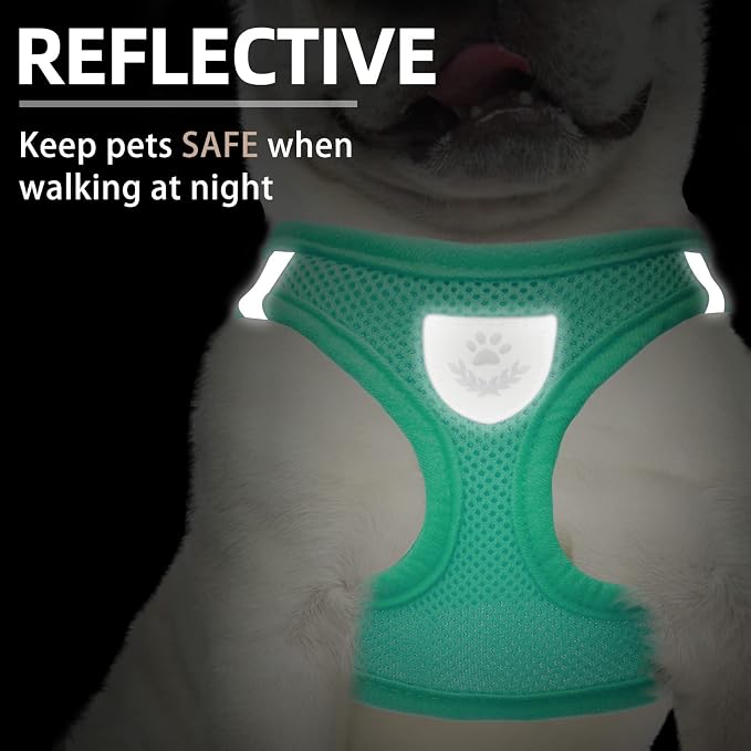 PUPTECK Adjustable Dog Harness Collar and Leash Set Step in No Pull Pet Harness - Image 5