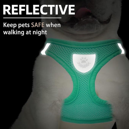 PUPTECK Adjustable Dog Harness Collar and Leash Set Step in No Pull Pet Harness - Image 5
