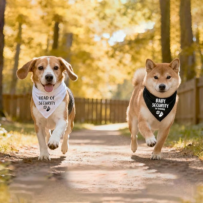 2 Pack Dog Bandana Pregnancy Announcement, Baby Security in Training and Head - Image 6