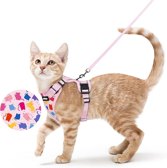 rabbitgoo Cat Harness and Leash by rabbitgoo