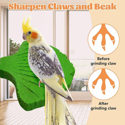 3 Pcs Parrot Perch Resin Bird Beak Grinding Stone Leaf Shape Perch Stand Foot - Image 5