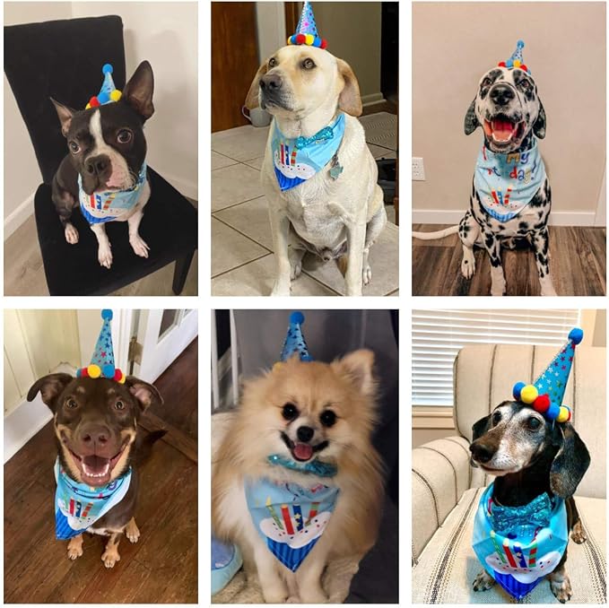 ADOGGYGO Dog Birthday Bandana Scarf and Blue Boy Pet Birthday Party Hat - Image 2