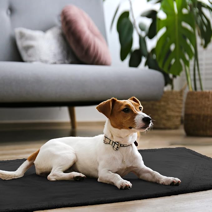Kritter Planet Waterproof Dog Blanket, Reversible Water Proof Pet Blanket - Image 6