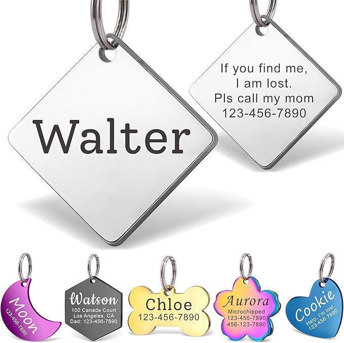 Anavia Personalized Pet ID Tags, Stainless Steel Glossy Laser Engraved Dog Cat by Anavia