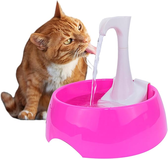 Aqua First Pet Water Fountain by HOME