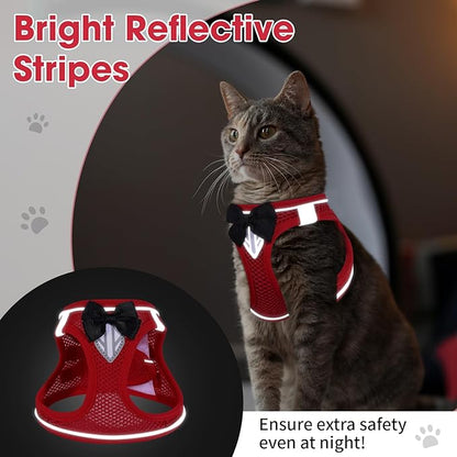 Cat Vest Harness and Leash Set for Walking, Escape Proof, Adjustable Kitten - Image 4