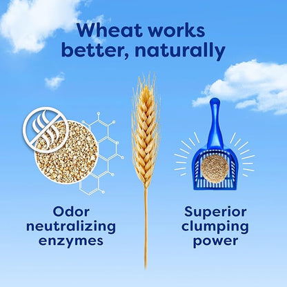 sWheat Scoop Natural Wheat Cat Litter, Fast Clumping - Image 7