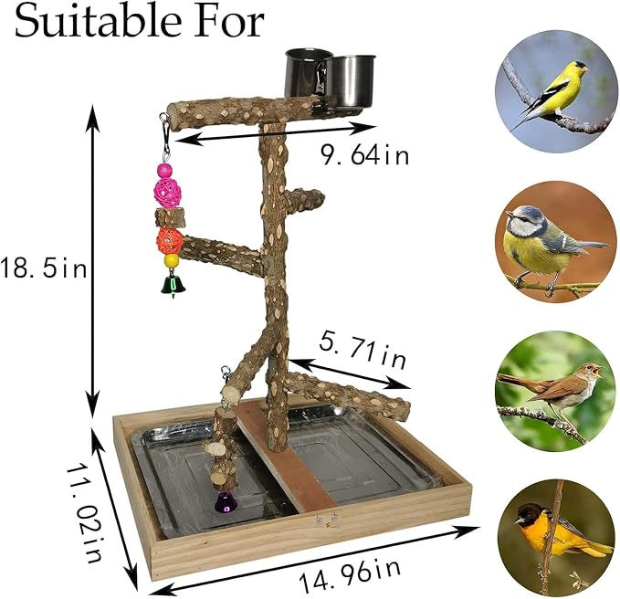 Tfwadmx Bird Perch Natural Wood Stand Parakeet Playground Toy Parrot Play Stand - Image 3