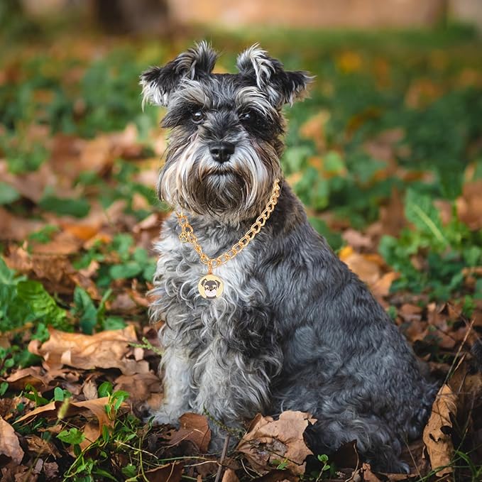 HOWWFALY Dog Collar and Cat Chain Necklace Stainless Steel Adjustable 18K Gold - Image 5