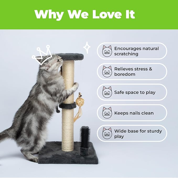 Best Pet Supplies Catify Cat Scratcher, Fun Interactive Scratchers, Claw Safe - Image 6