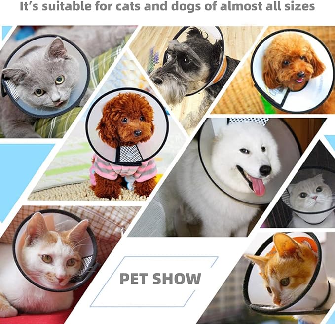 Plastic Pet Recovery Collars & Cones - Image 5