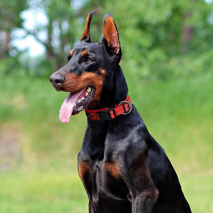 EXCELLENT ELITE SPANKER Reflective Dog Collar Classic Soft Padded Breathable - Image 7