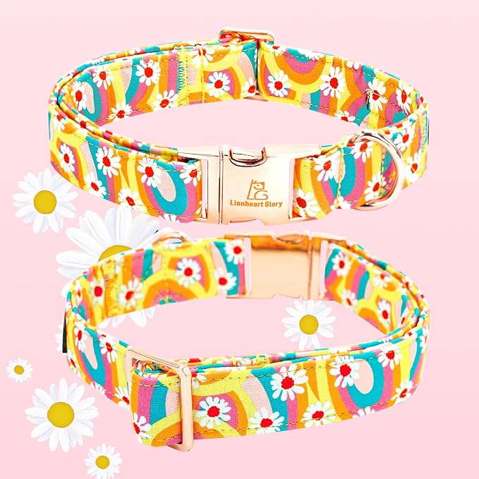 Lionheart glory Dog Collar - Image 5