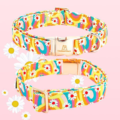 Lionheart glory Dog Collar - Image 5