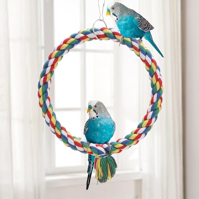 Bird Rope Swing Colorful Perch Climbing Toy - Image 2