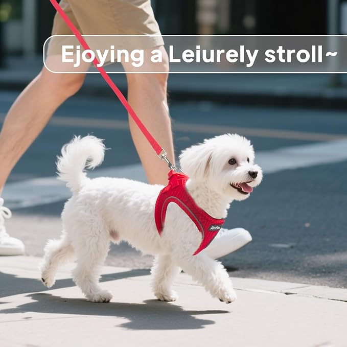 PetiFine Step in Small Dog Harness and Leash Set, Breathable All Weather Air - Image 7