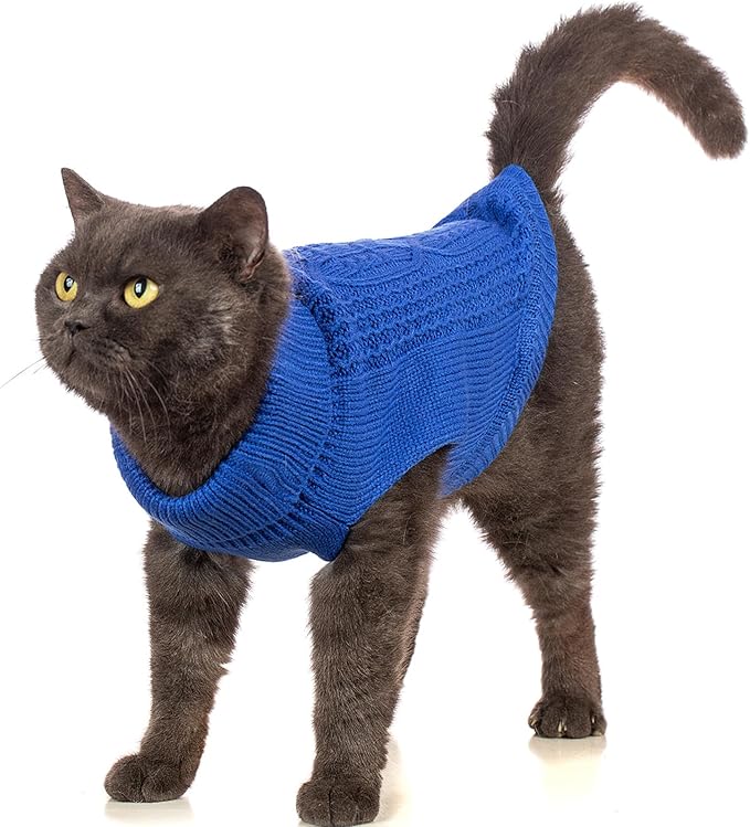 Stretchy Cat Sweater - Image 3