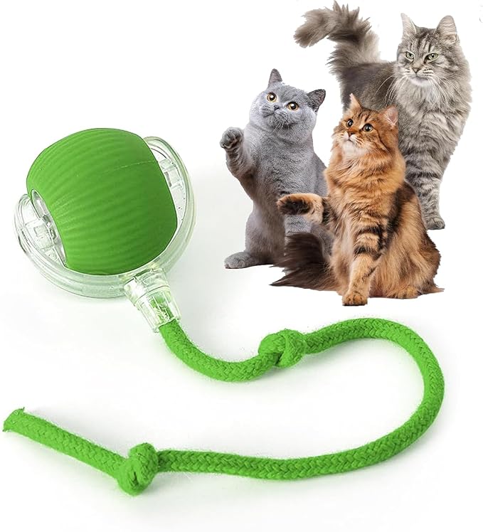 Rocfish Durable Interactive Cat Toys by Unknown