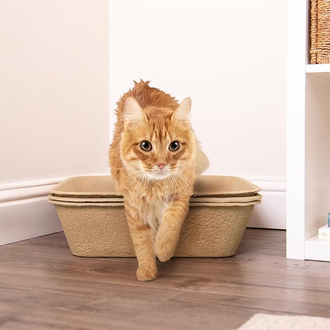 Kitty Sift Disposable Sifting Cat Litter Box Jumbo, Durable and Portable - Image 7
