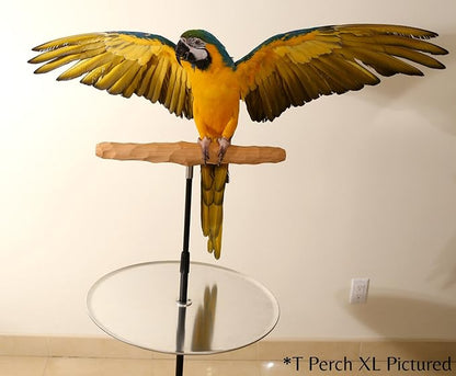 Parrot Training Perch Stand - Image 6