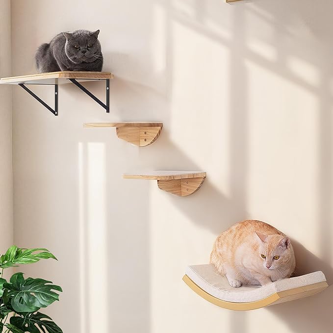 Cat Wall Shelf & Window Perch Combo, Wood Cats Wall Furniture by PELUOMOZ