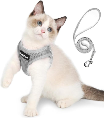 PetiFine Extra Small Step in Dog Harness and Leash Set, Cat Harness and Leash by PetiFine