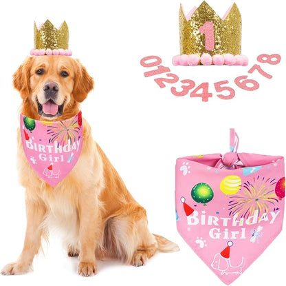 ADOGGYGO Dog Bandana Hat Set for Birthday Party Supply, Boy Girl Pet Birthday by ADOGGYGO