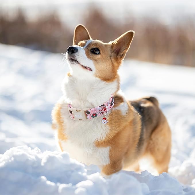 Christmas Dog Collar, Soft Winter Dog Collars - Image 5