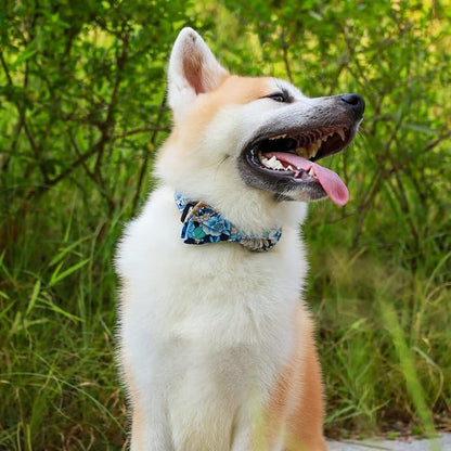 Faleela Cute Soft Girl Dog Collar - Image 5