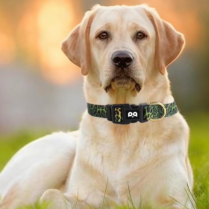 QQPETS Adjustable Soft Dog Collar: Print Flower Pink Multicolor Cute Patterns - Image 7