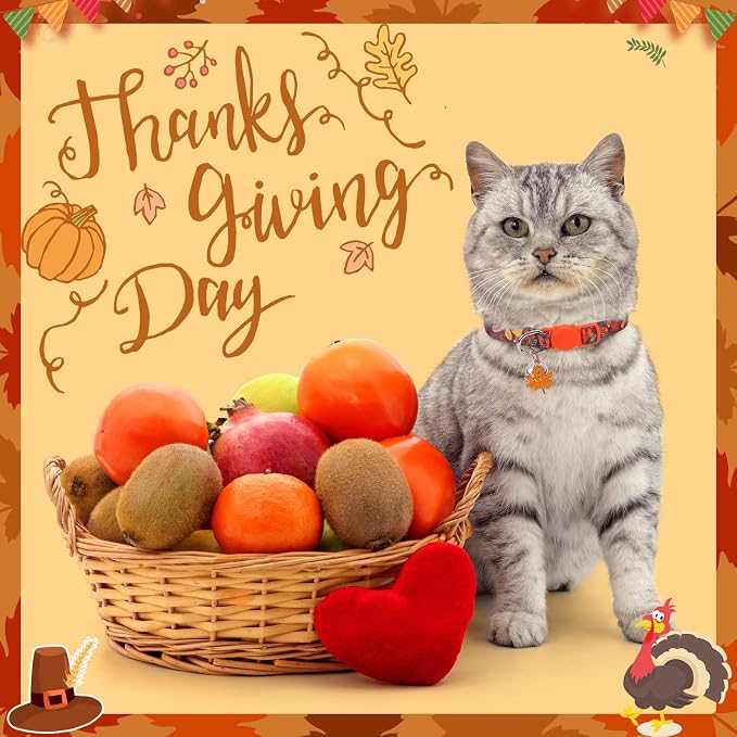 SCENEREAL Fall Thanksgiving Cat Collar Breakaway Girl Boy, Safety Buckle Soft - Image 2