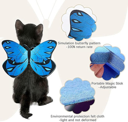 Pet Cat Bat Wings for Halloween Party Decoration, Puppy Collar Leads Cosplay - Image 6