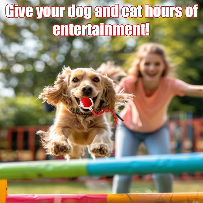 2025 New Interactive Dog Cat Toys Balls, Interactive Rolling Ball Cat Toy - Image 3