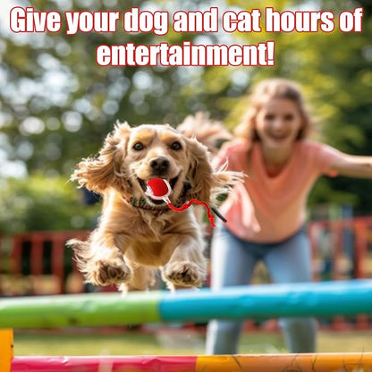 2025 New Interactive Dog Cat Toys Balls, Interactive Rolling Ball Cat Toy - Image 3
