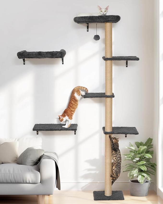 FUKUMARU Cat Wall Shelves, Stable Wall Mounted Cats Furniture Set, Kitten by FUKUMARU