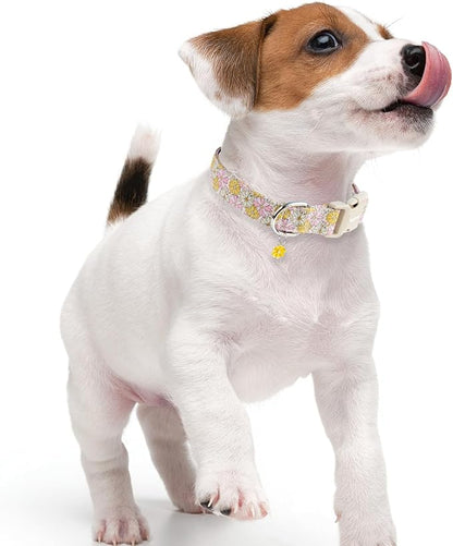 Faygarsle Floral Girl Dog Collar, Cotton Fabric - Image 6