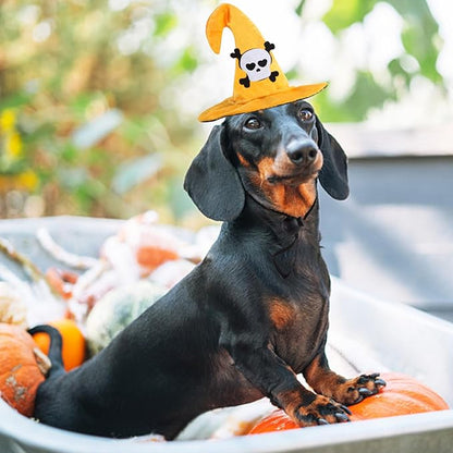 Lionheart glory Halloween Dog Hat Skull Headdress Funny Adjustable Soft Cute - Image 5