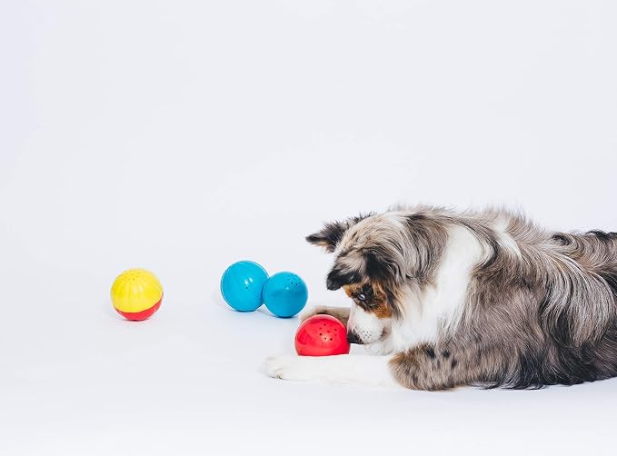 Pet Qwerks Animal Sounds Babble Ball - Image 4