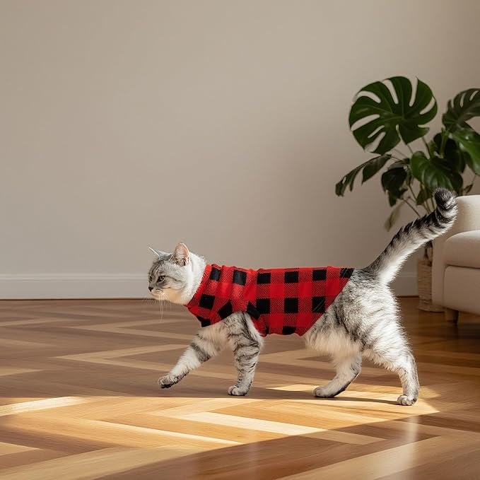 EXPAWLORER Soft Cat Sweater - Image 6