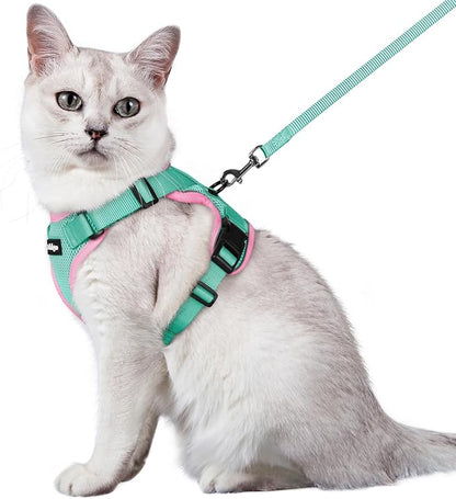 rabbitgoo Cat Harness and Leash by rabbitgoo