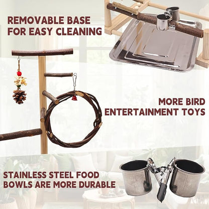 ‌Bird Playground, Natural Wooden Parrot Stand - Image 4