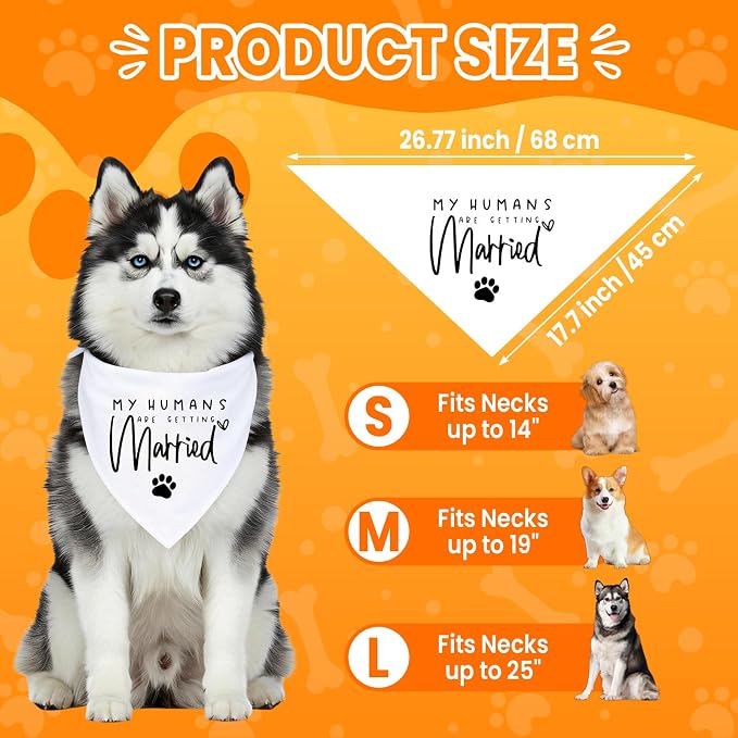My Parents are Getting me a Human, Pregnancy Announcement Dog Bandana, Gender - Image 3