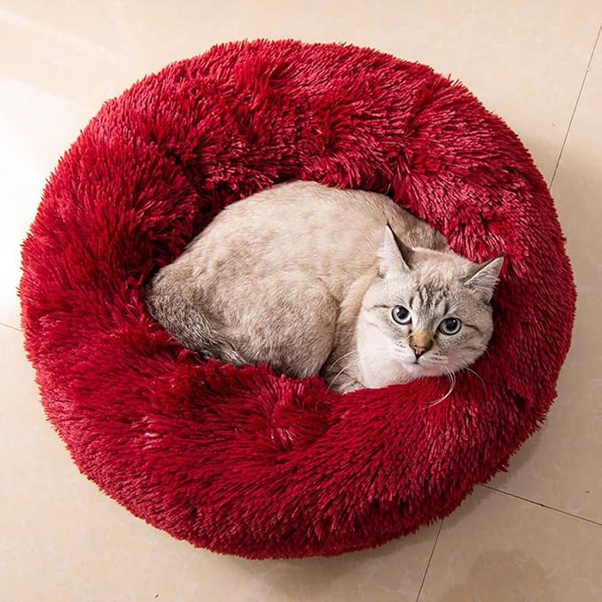 Cat Beds for Indoor Cats - Image 6