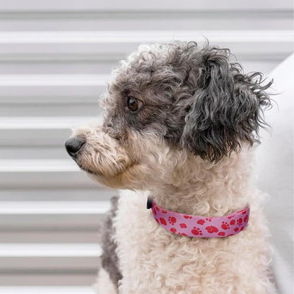 QQPETS Adjustable Soft Dog Collar: Print Flower Pink Multicolor Cute Patterns - Image 2